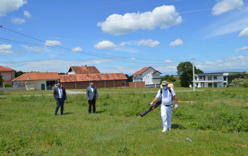 Malisheva nis luftën me rriqrat, dezinsekton zonat ku mund të ketë kësi parazitë