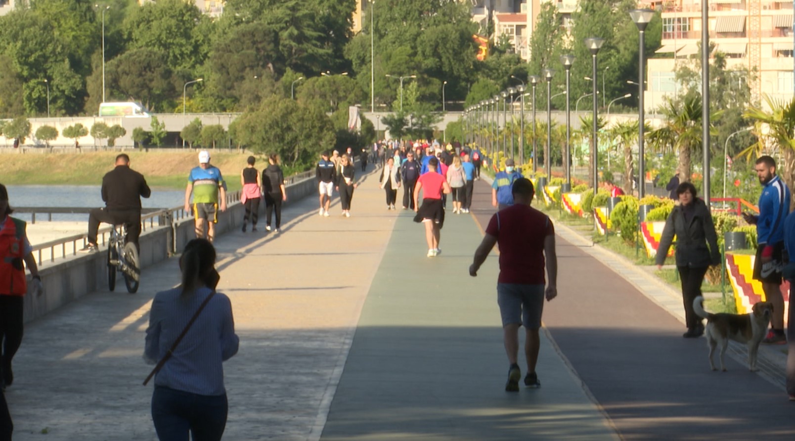 Shqipëria humbi 28.500 banorë në 2025, mosha mesatare arrin në 45 vjeç