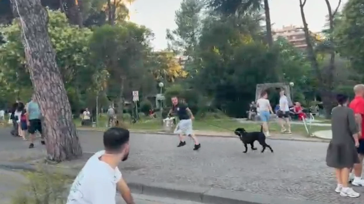 Dalin pamjet, protestuesit në Shqipëri ndjekin të riun me pitbull pas përplasjes verbale