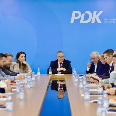 PDK shkon në zgjedhje të brendshme këtë vit, Hamza: Gara është e hapur edhe për kryetar