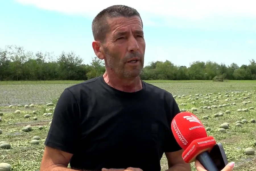 “Asgjë nuk shpëtoi nga breshri”, bujku nga Kovraga e Istogut: Dëmet rreth 40 mijë euro