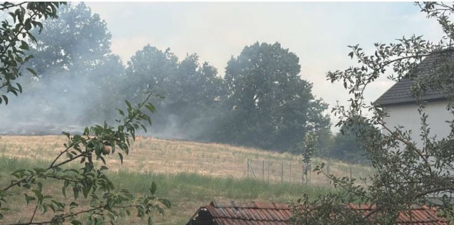 Lokalizohet dhe shuhet zjarri në Ballancë të Vitisë