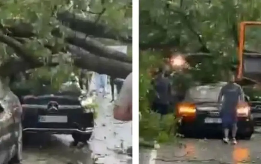 Lisi rrëzohet mbi dy vetura në Brezovicë, shkaktohen dëme materiale nga moti i lig