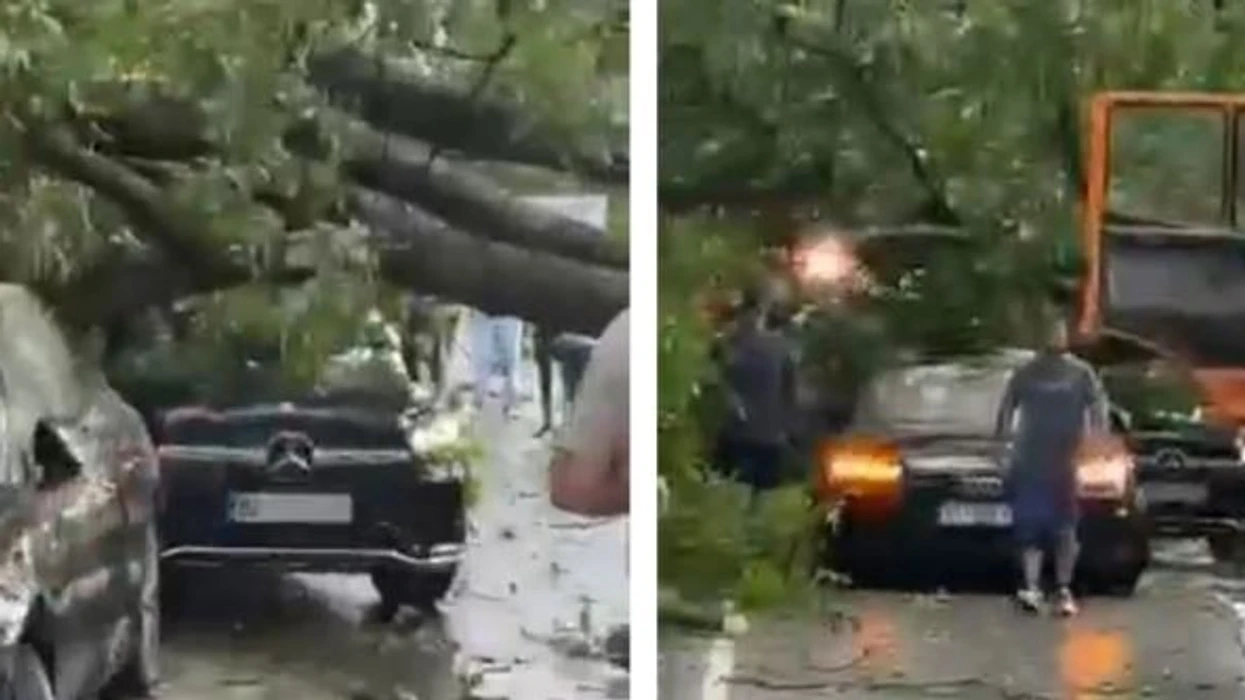 Lisi rrëzohet mbi dy vetura në Brezovicë, shkaktohen dëme materiale nga moti i lig