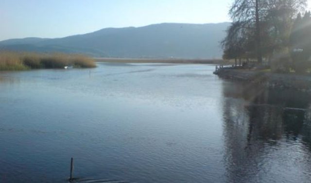 Hedhja nga varka i kushtoi jetën, mb*tet 32-vjeçari në liqenin e Pogradecit