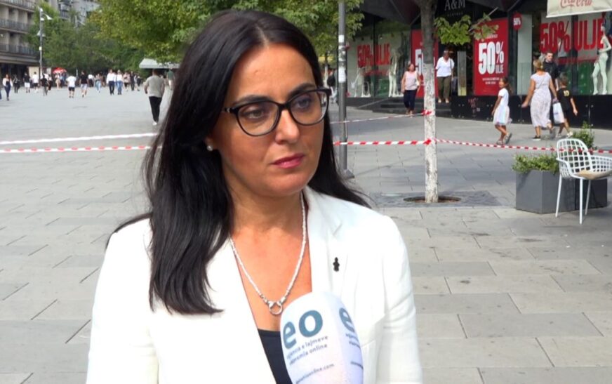 Lushaku-Sadriu: Oferta e VV-së ishte jodinjitoze për LDK-në
