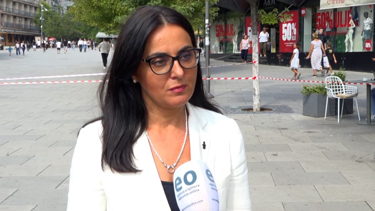Lushaku-Sadriu: Oferta e VV-së ishte jodinjitoze për LDK-në