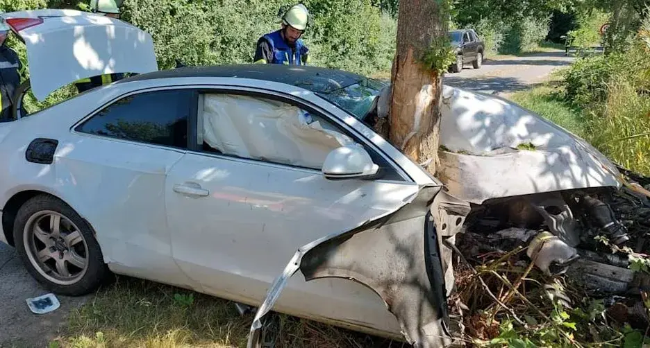 Trungu i pemës çau veturën pas përplasjes, dy të rinj i shpëtojnë mrekullisht aksidentit