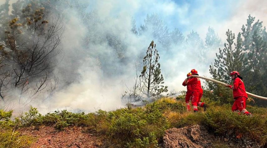 11 vatra zjarri aktive në Shqipëri, angazhohen helikopterë e avionë për shuarjen e flakëve