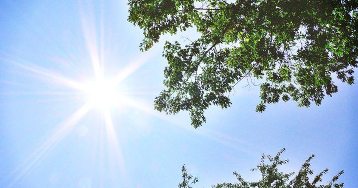 Java nis me mot të nxehtë, temperaturat nesër deri në 34 gradë