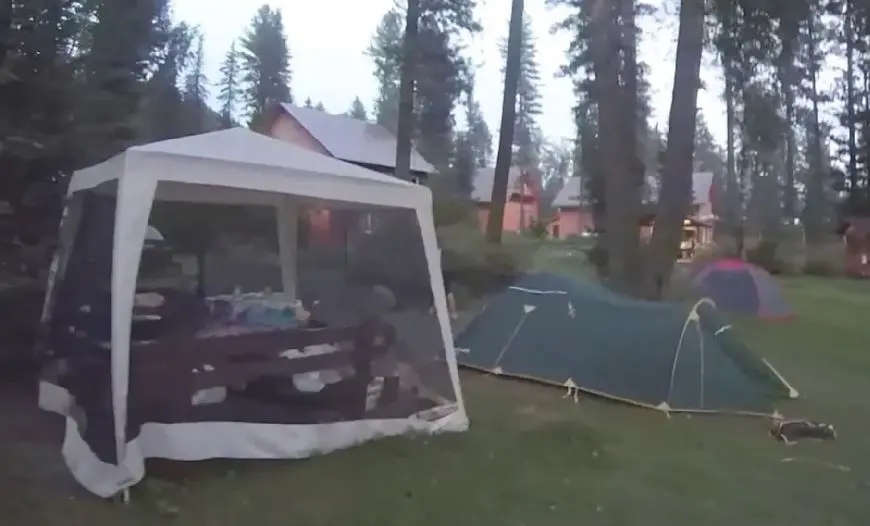 Ishte fejuar një ditë më parë, 29-vjeçarja vritet nga ariu në kamping