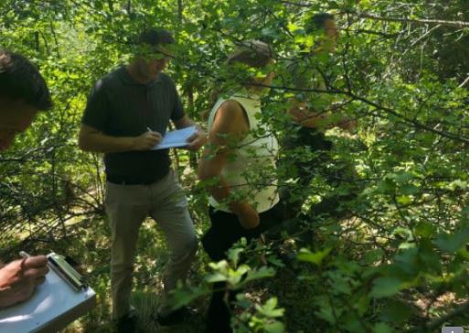 ​Bëri deklarim të rrejshëm për krimet në Zubin Potok, “dëshmitari” nga Zupçi ndalet 48 orë