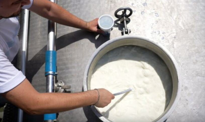 Fermerët shohin kthesë në tregun e qumështit