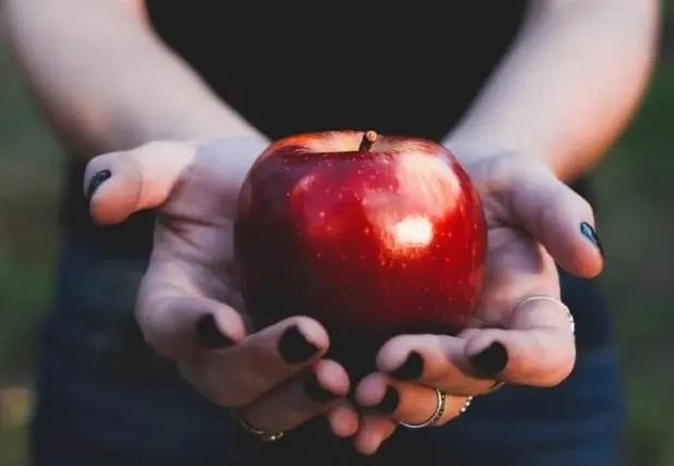 Molla, një frut i pasur me vlera ushqyese