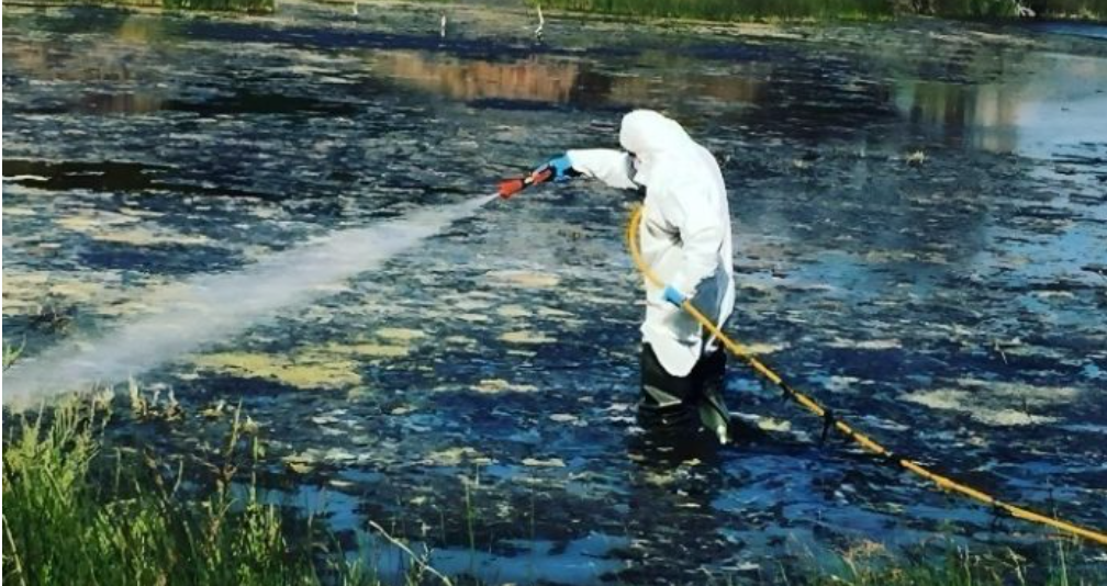 Greqi: 58 raste të reja të virusit të Nilit Perëndimor dhe 24 viktima
