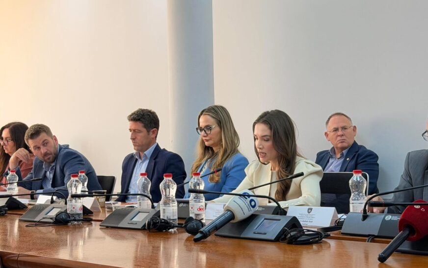 Komisioni për Buxhet nuk e mbështet amendamentin për 4 milionë euro për Qendrën e Kujdesit Paliativ