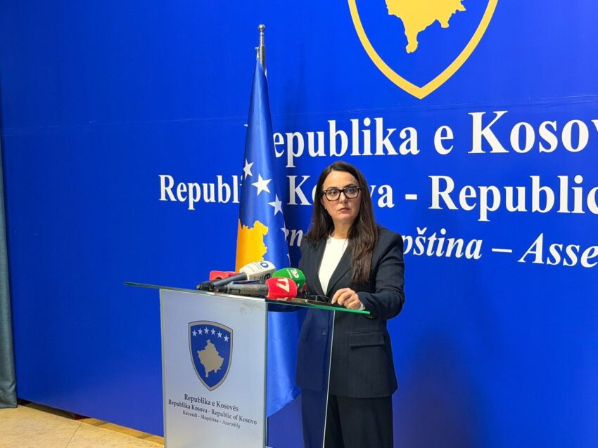 Lushaku: Sonte një natë e vështirë për shtetin e Kosovës –
